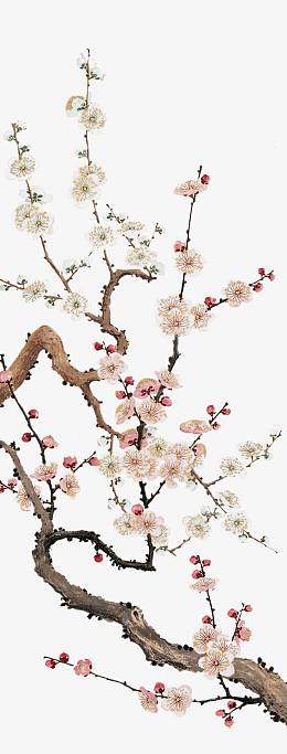 梅花