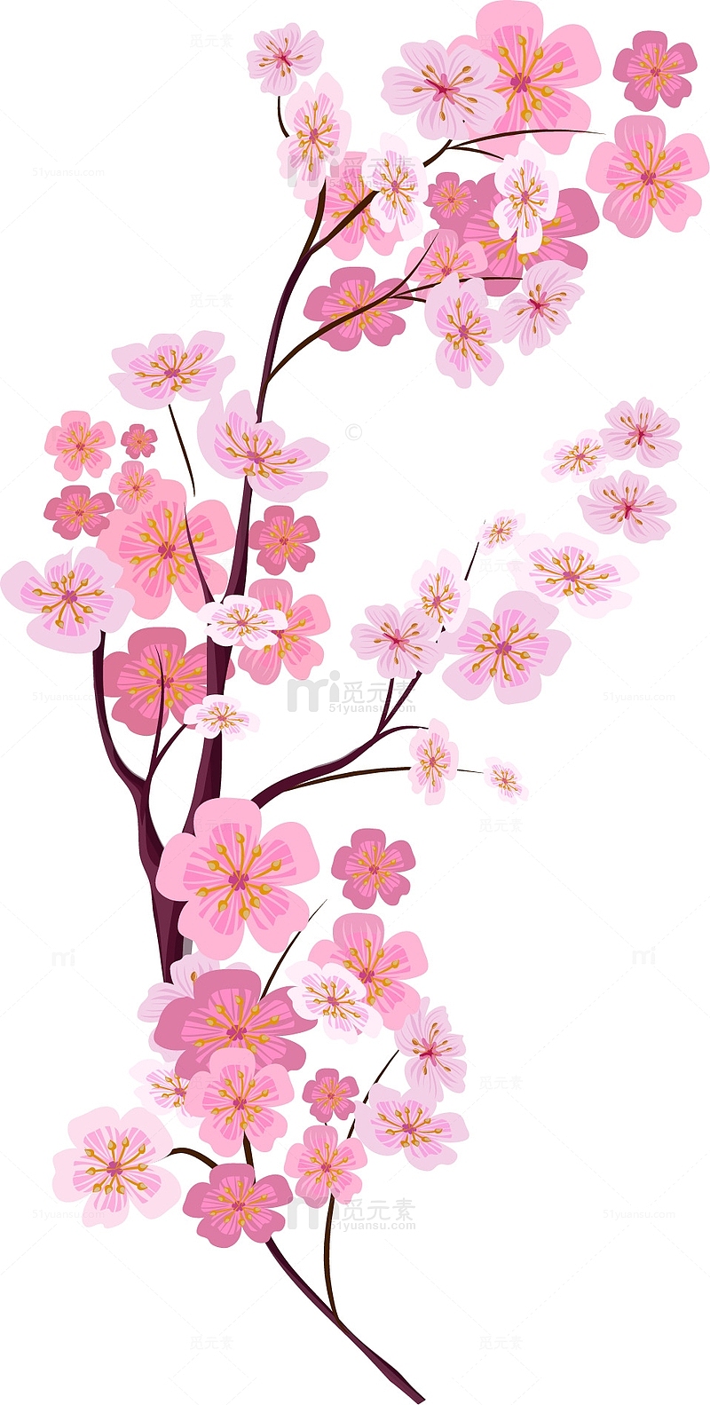 矢量手绘粉色樱花