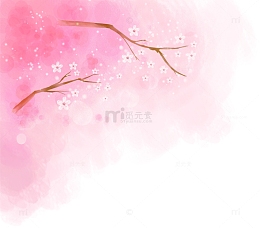 粉色樱花