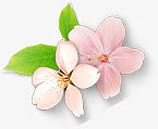 手绘粉色唯美花朵植物装饰