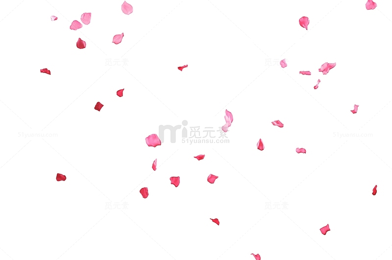 情人节妇女节三八节花瓣