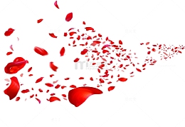 情人节妇女节三八节花瓣