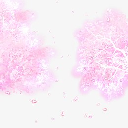 樱花素材