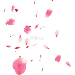 漂浮的樱花花瓣png免抠素材