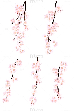 樱花素材