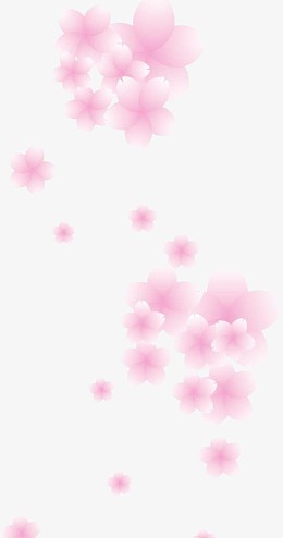 粉色樱花