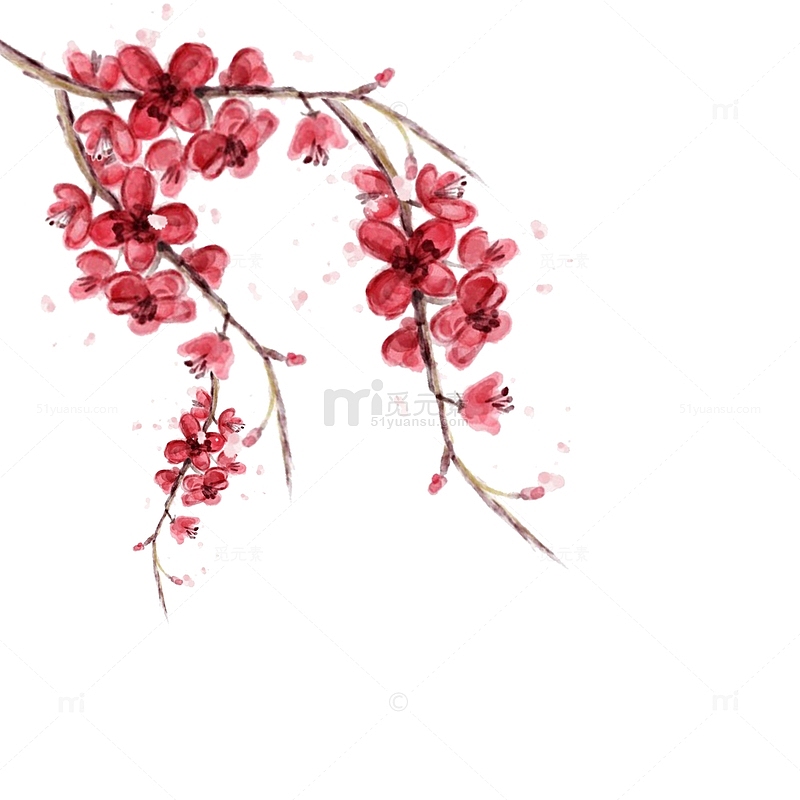 中国风水墨水彩樱花