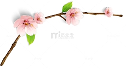 水彩画樱花