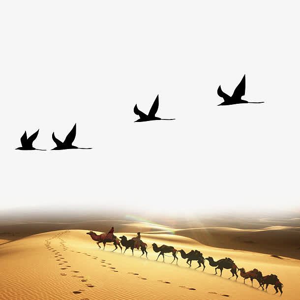 沙漠骆驼真实场景