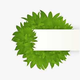绿色树叶标题栏