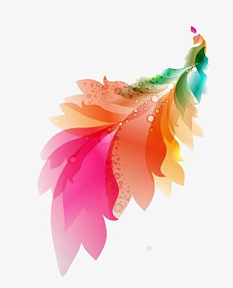 春天唯美浪漫梦幻彩色羽毛母亲节