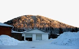 雪乡山坡上清晨的暖阳