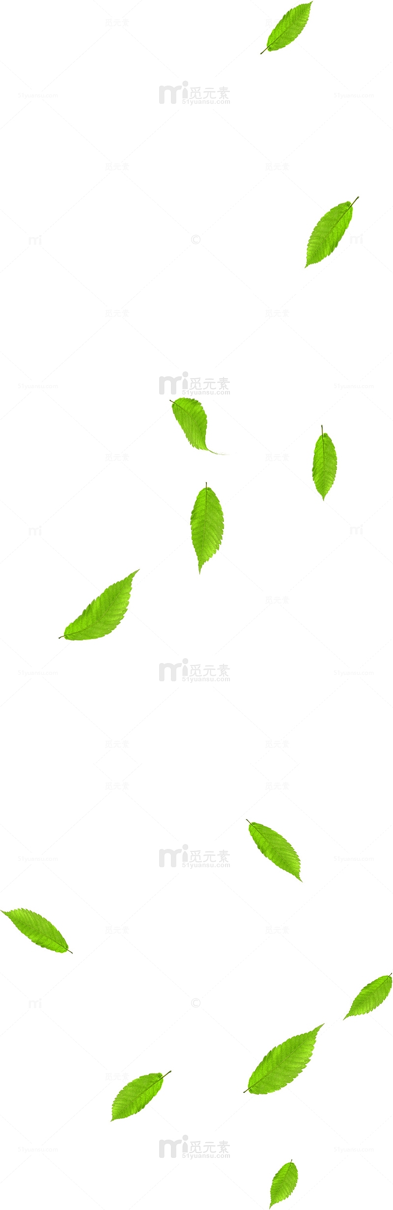 绿色手绘树叶创意