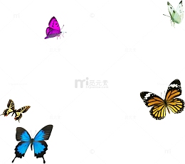 多款春天蝴蝶美景