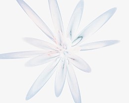 抽象图片科技元素  抽象几何花