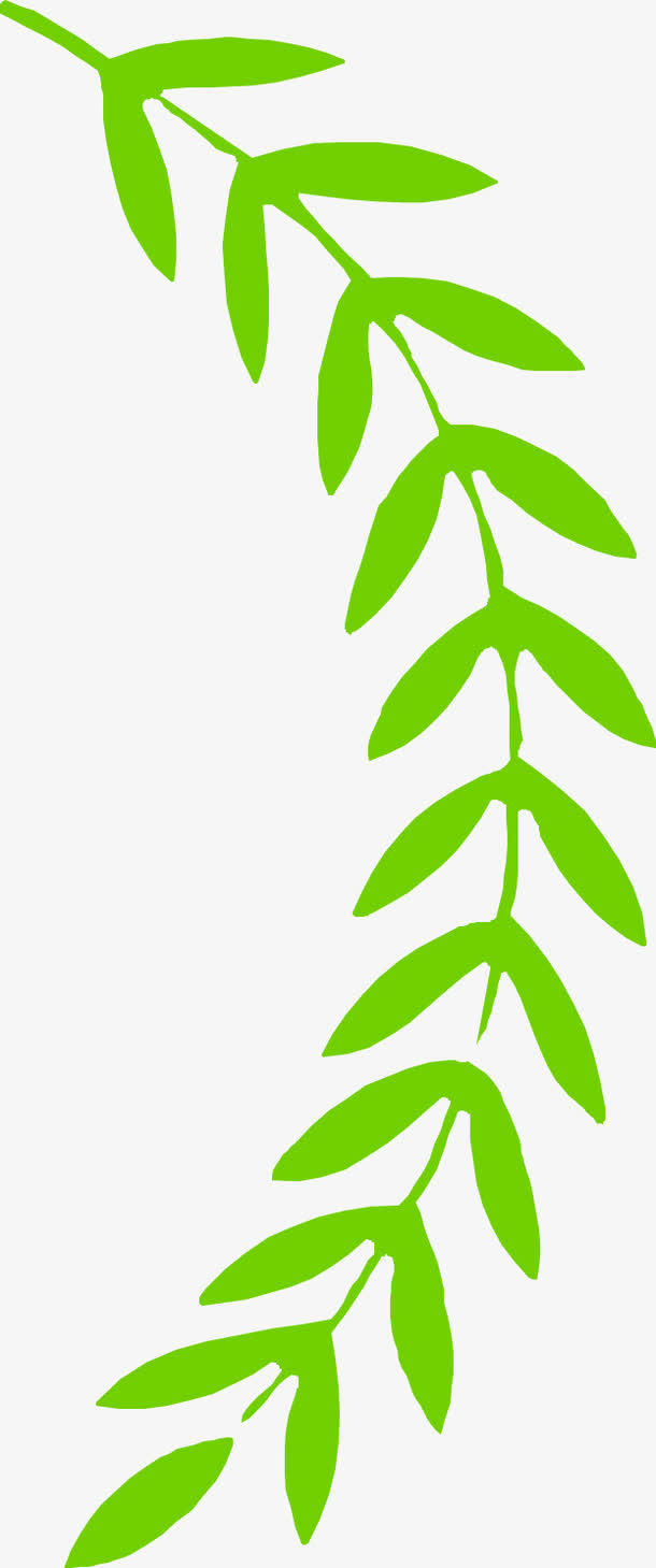 手绘简约绿色树叶装饰