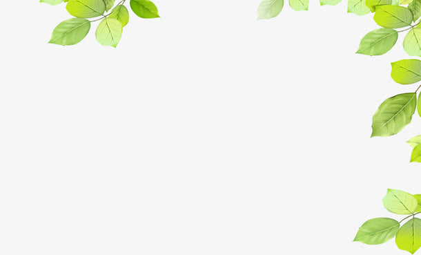 春季树叶化妆品装饰