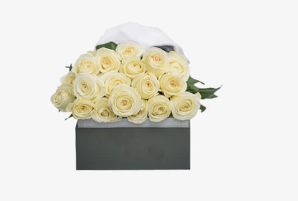 白色玫瑰礼盒
