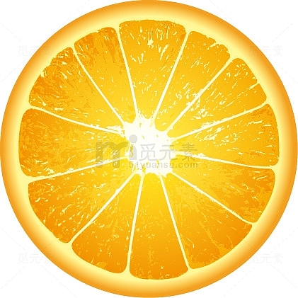 一片橙子切片横切面高清大图