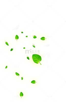 水花 水波纹