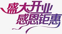 唯美精美盛大开业感恩钜惠艺术字