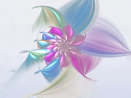光花