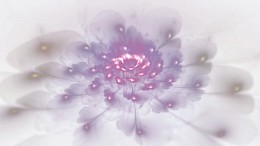 花纹