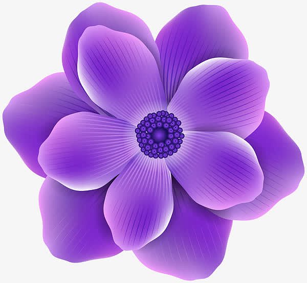 紫色渐变花朵
