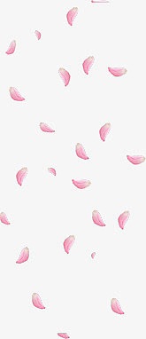 落下的粉色花瓣