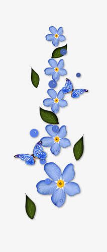 蓝色花瓣