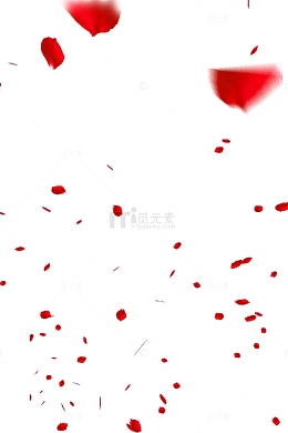 漂浮红色玫瑰花瓣