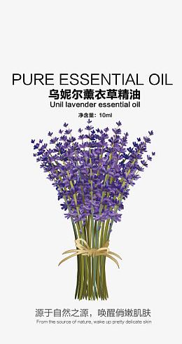 薰衣草精油外包装设计
