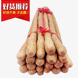 一捆山药