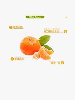 柑桔销售海报设计