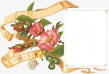 手绘花素材花图标 精美边框方框