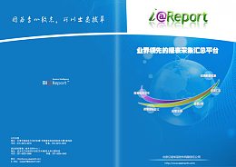 报告书封面