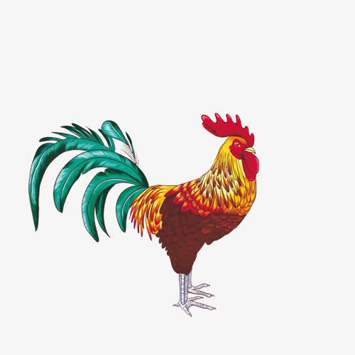 公鸡素材免费下载_觅元素
