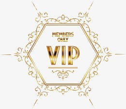 Vip名片卡片邀请函设计矢量素材