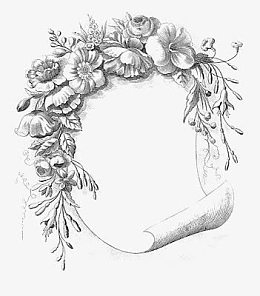 信纸鲜花边框