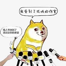 单身狗