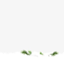 松枝雪地雪花背景