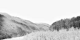 林海雪原图