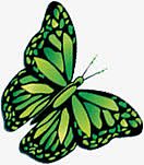 春季绿色卡通蝴蝶动物