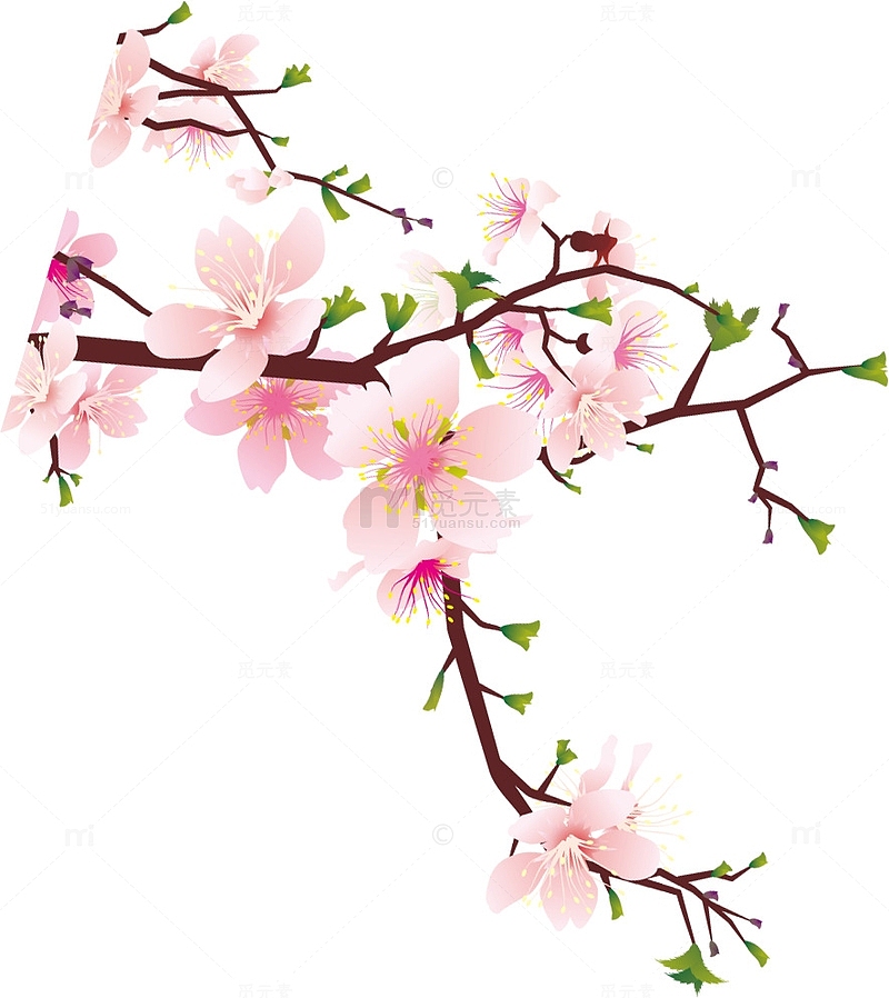 手绘清新粉色桃花树枝装饰