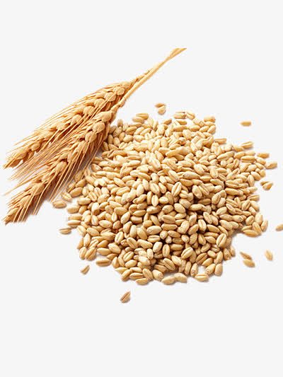 一堆小麦