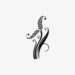 麦穗小麦