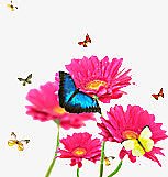 粉色春季促销花朵蝴蝶