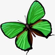 绿色卡通创意清新蝴蝶