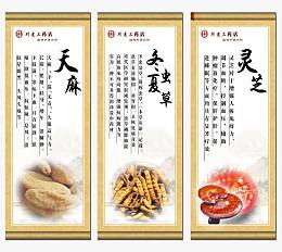 中医挂画