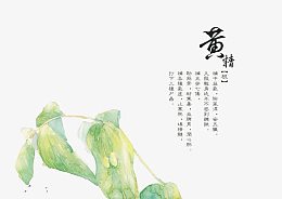 手绘中医中药素材